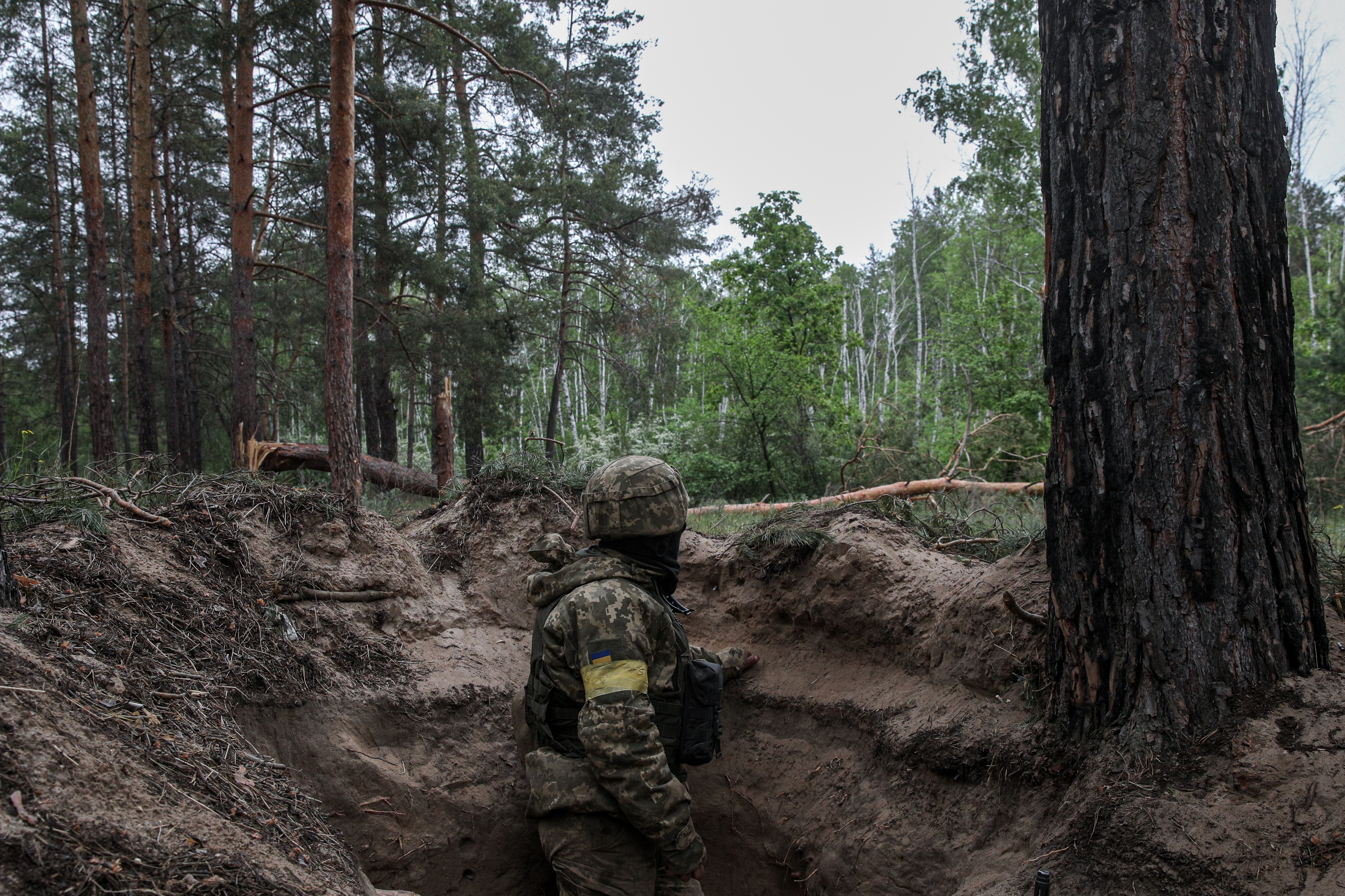 'Welcome to hell': Ukrainian airborne fighting Russia in Donbas woods
