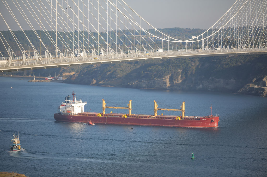 Minister: Ukraine's grain exports won't reach 3 million tons this month