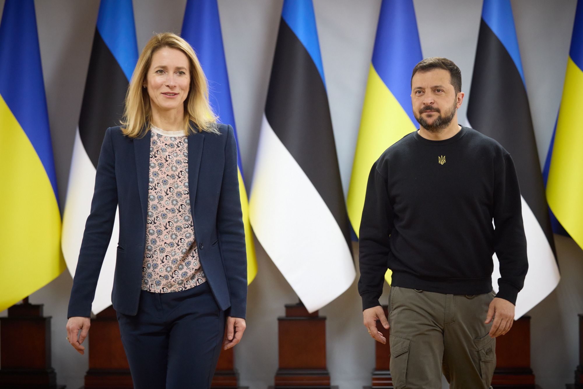 Ukraine, Estonia begin drafting bilateral security agreement