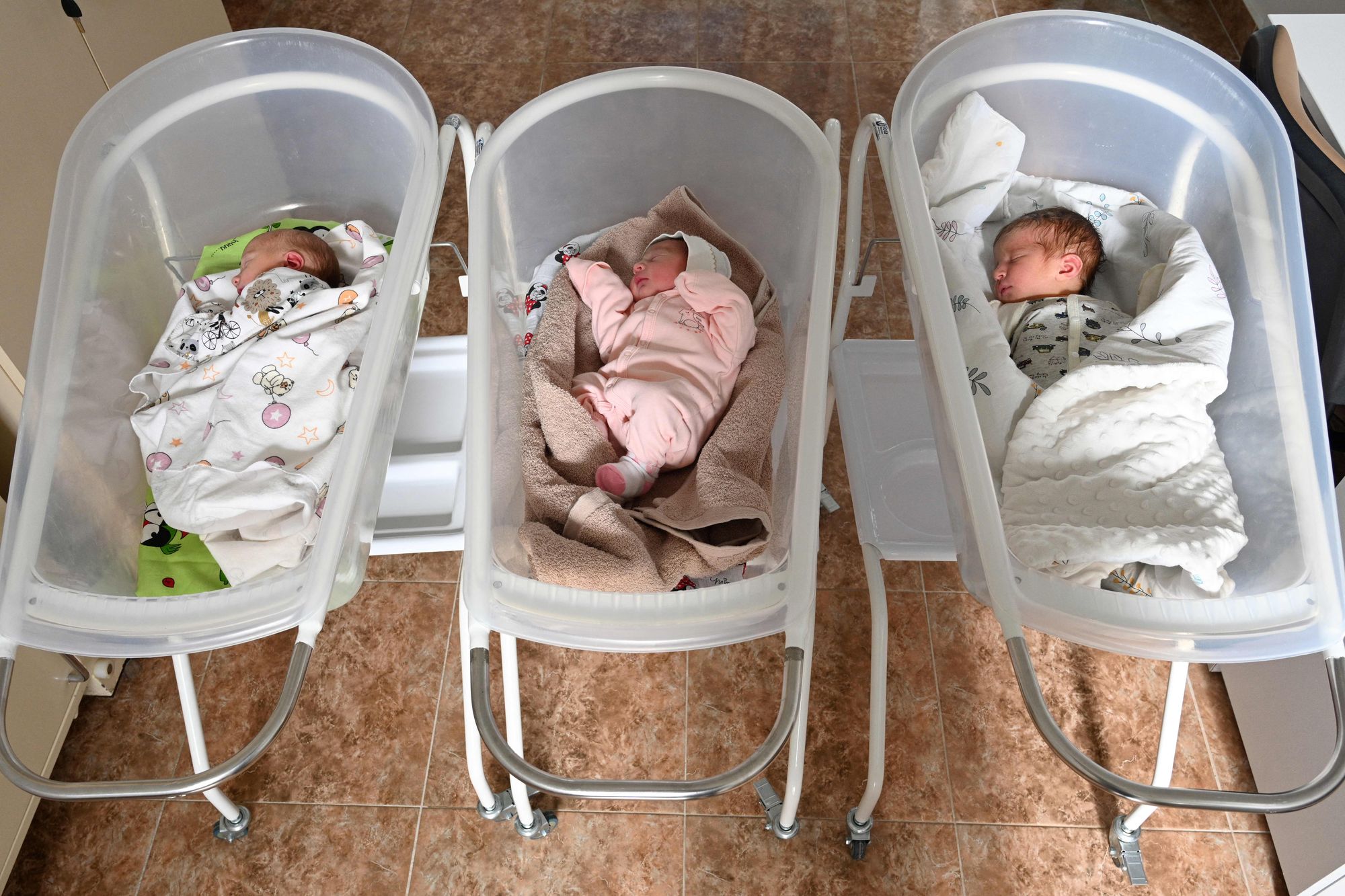 Ukraine's birth rate drops by 28%