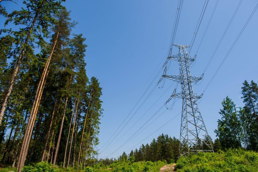 Baltic states to disconnect from joint Russian power grid in February 2025