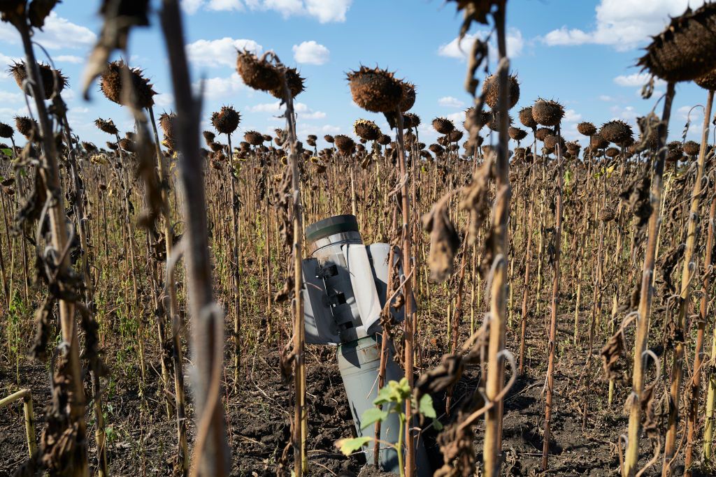 ISW: Ukrainian troops make 'tactical gains' in Zaporizhzhia Oblast and near Bakhmut