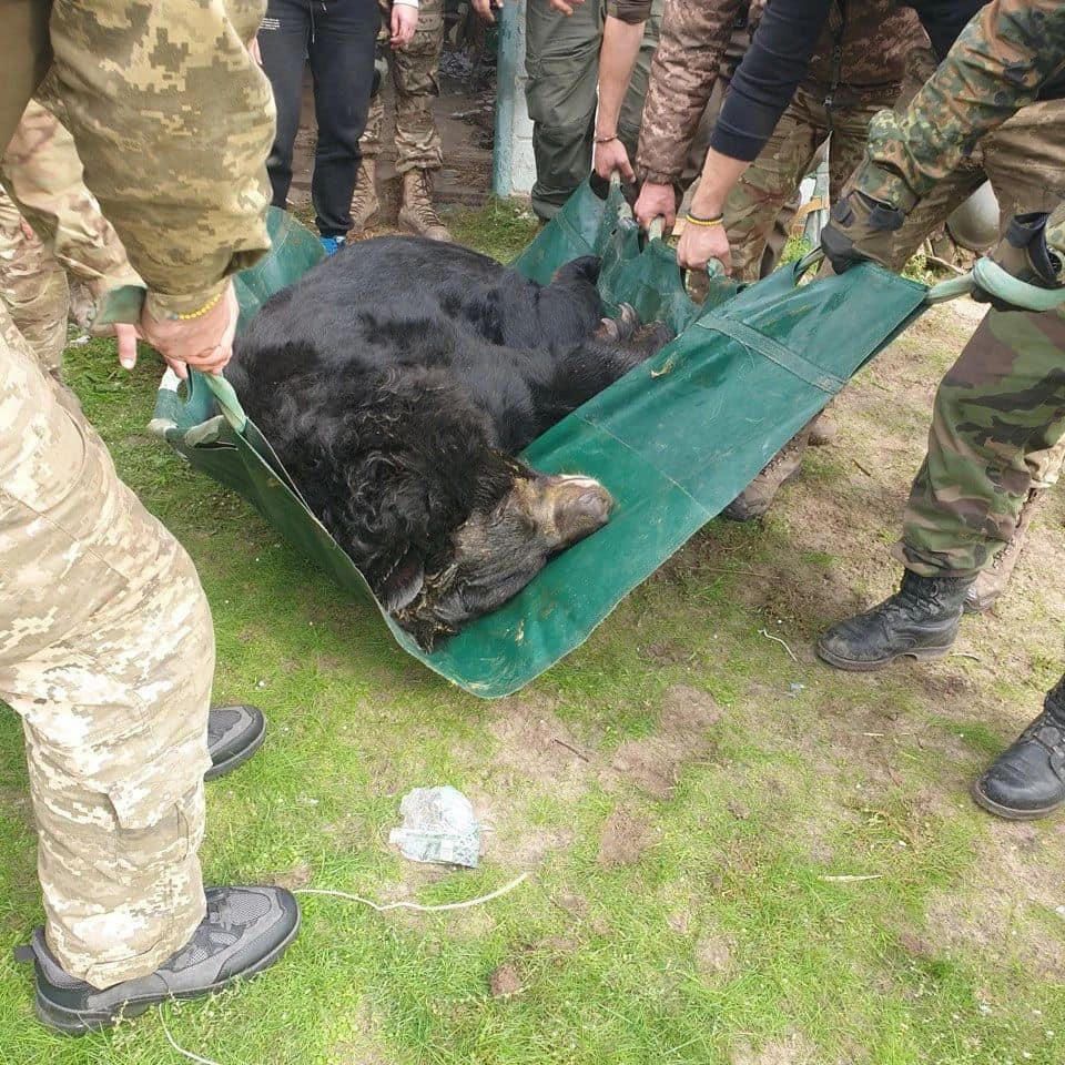 CNN: Scottish zoo to adopt bear saved from Russian-occupied Ukraine