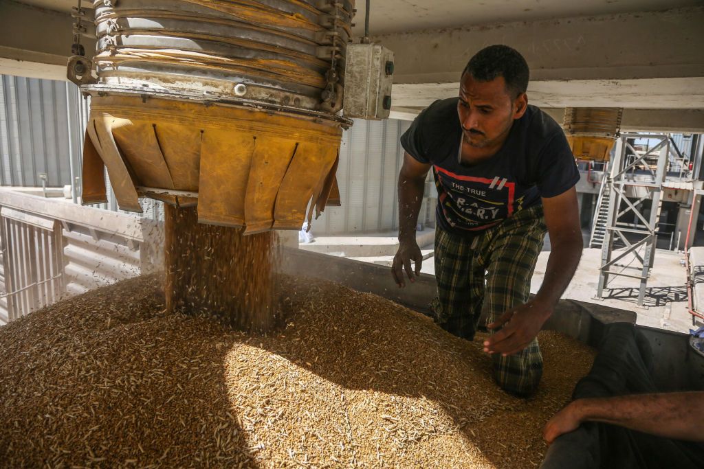 Bloomberg: Egypt to import 480,000 metric tons of Russian wheat