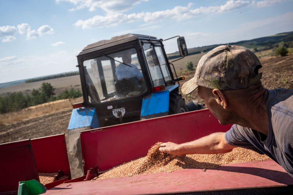 Ukrainian farmers sow 3 million hectares of winter crops but exports drop