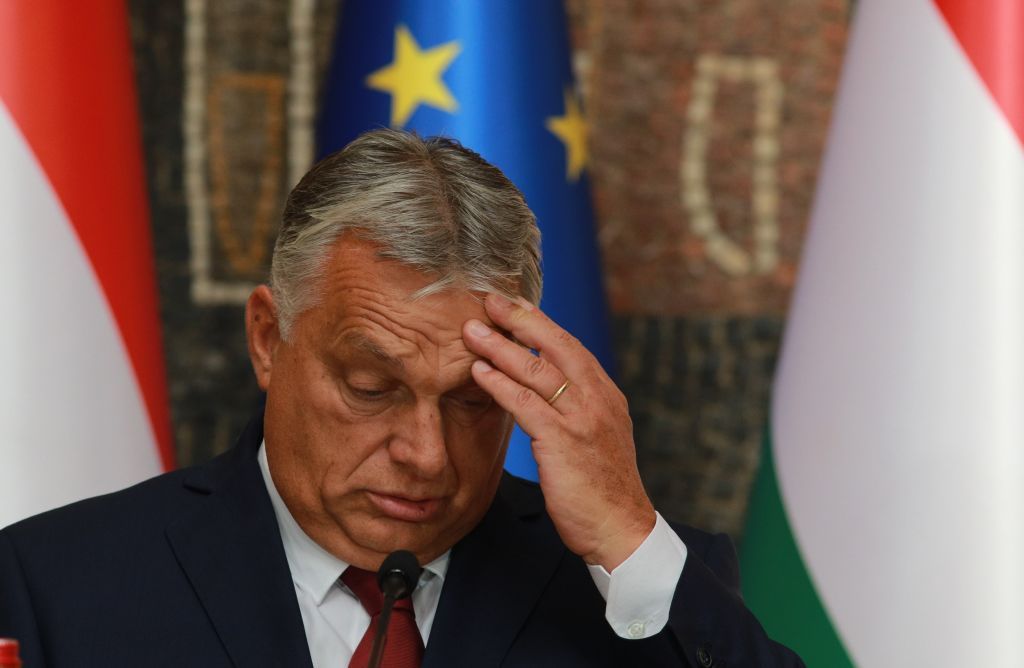 Orban opposes Ukraine's EU accession, claiming it would 'destroy' Hungary