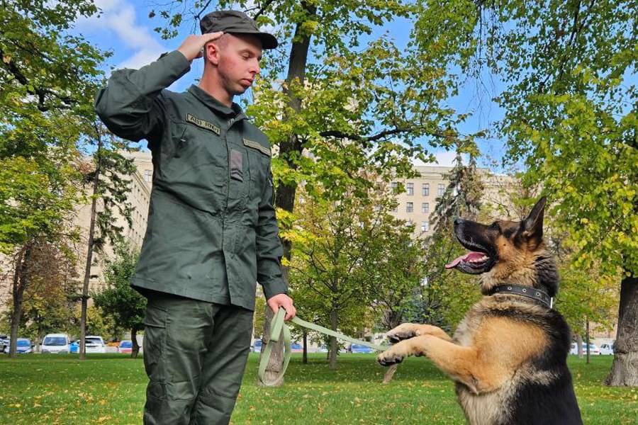 National Guard's dogs awarded for 'dedicated service'