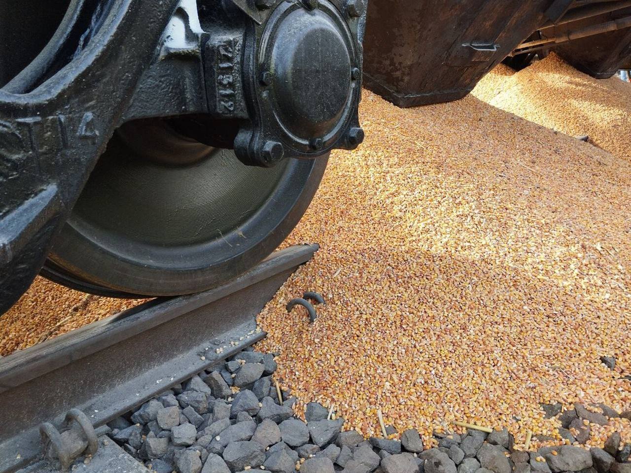 Infrastructure Ministry: Grain dumped by Polish farmers was transiting to Germany