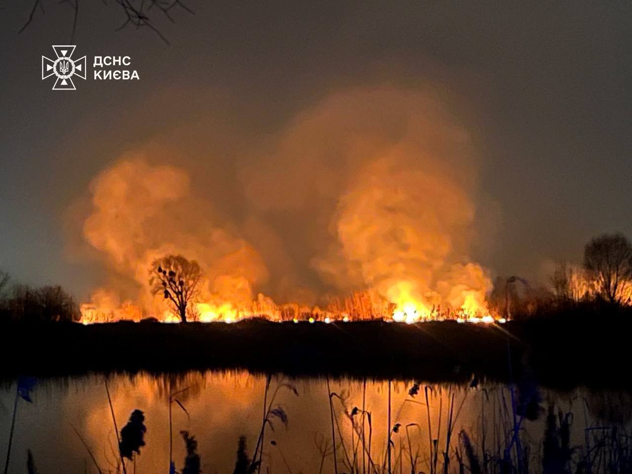 Police launch investigation into suspected arson at Kyiv wetland park