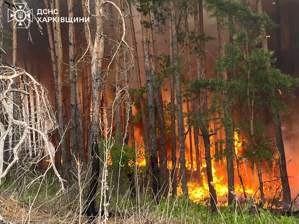 More than 9,000 acres of forest engulfed in flames in Kharkiv Oblast, State Emergency Service says