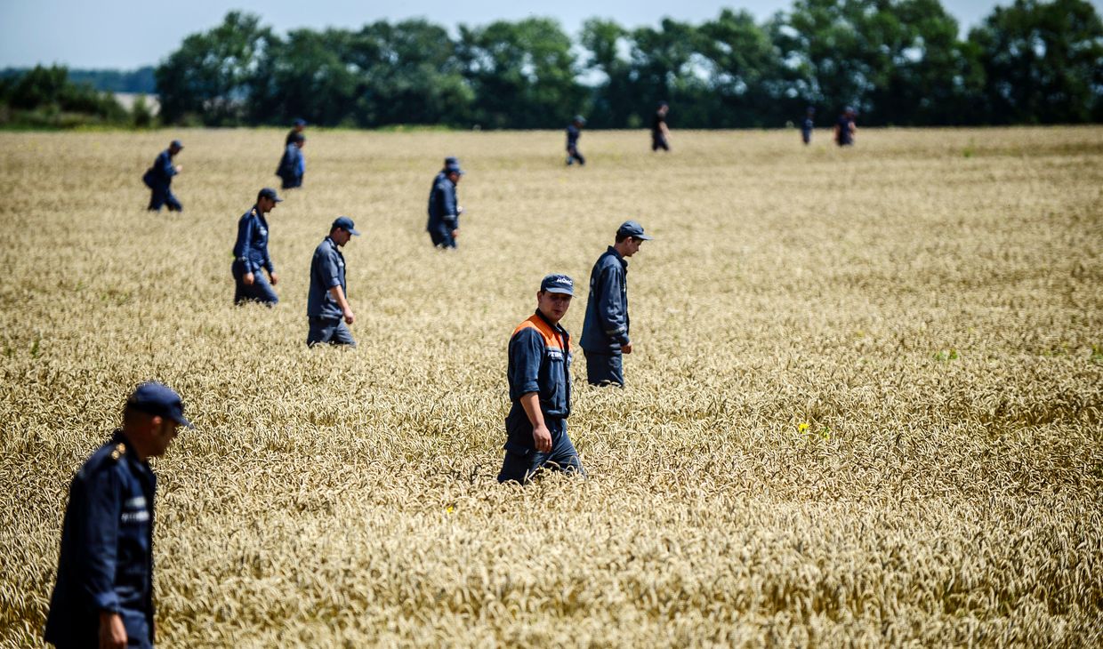 Members of the Ukrainian State Emergency Service search for bodies in a field near the crash site of the Malaysia Airlines Flight MH17 near the village of Hrabove