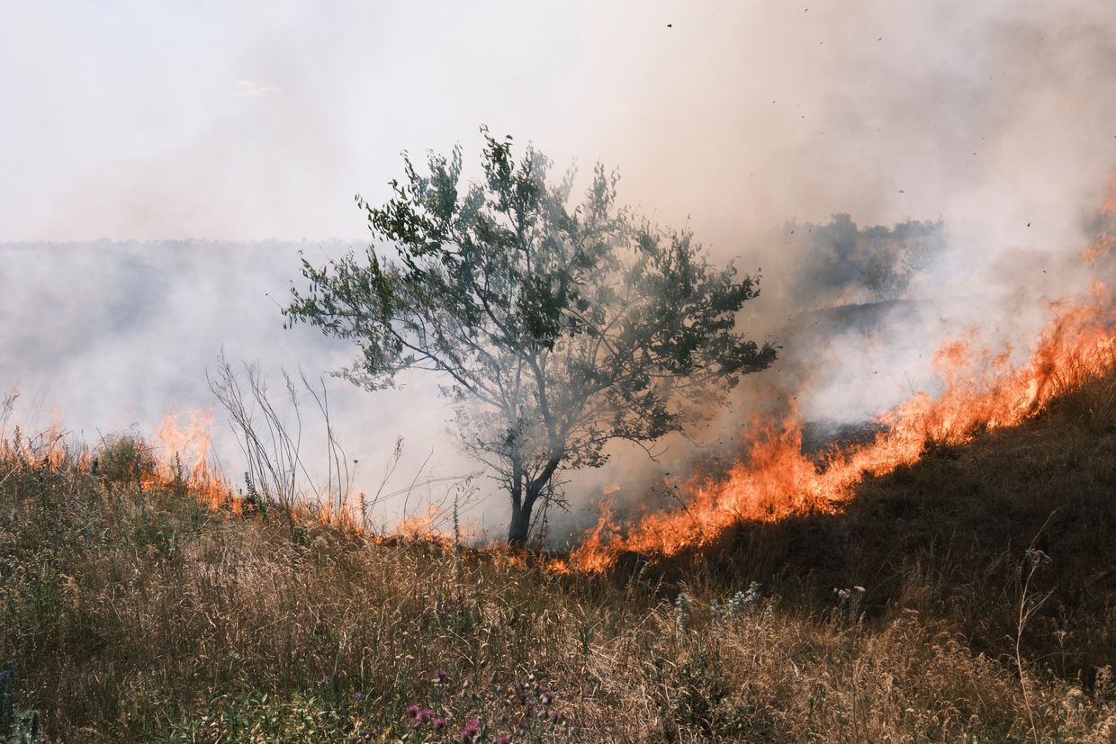 The land is burning after the shelling in the village of Nova Poltavka, Ukraine
