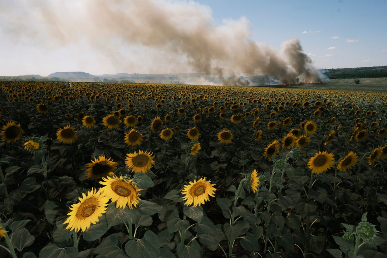 Field on fire after shelling near Nova Poltavka village, Ukraine