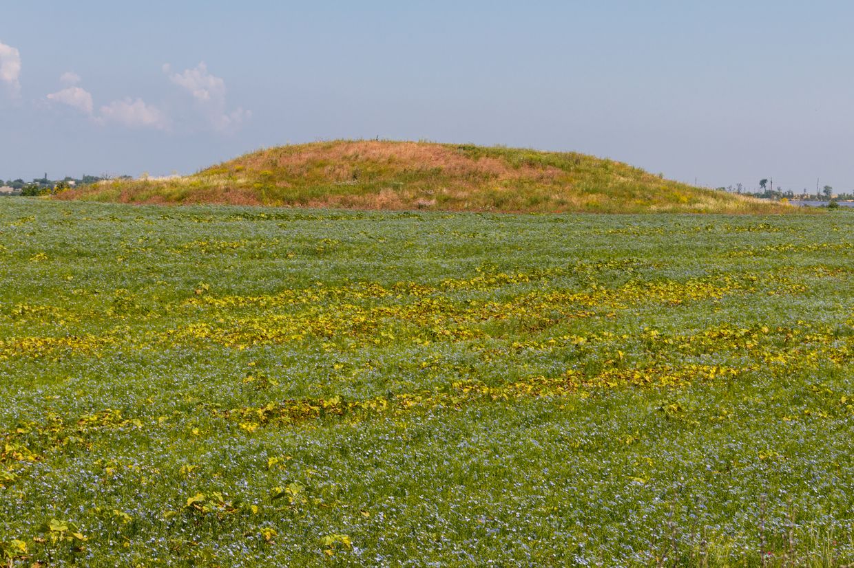 Russian forces damaging ancient burial mounds in Ukraine, research suggests