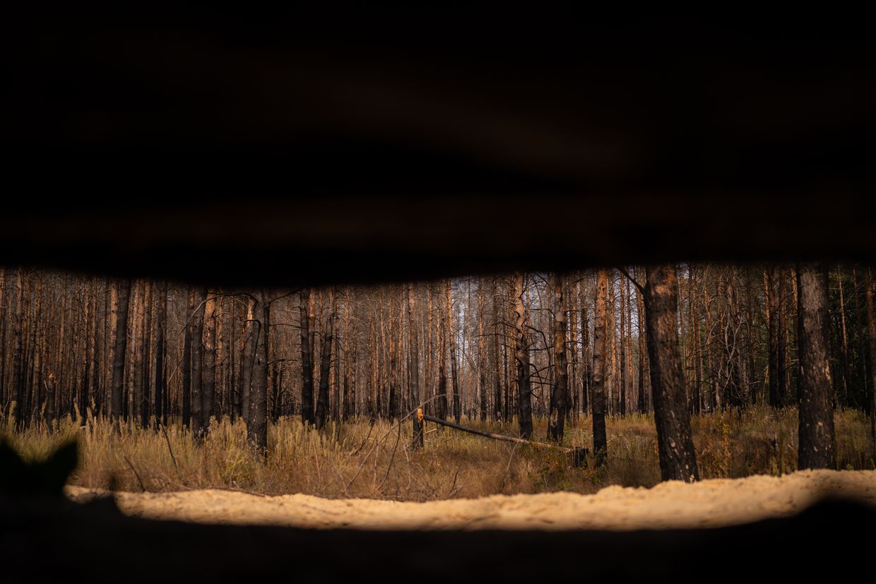 View from the observation post at a position in the Chornobyl forest in Chornobyl zone, Kyiv Oblast