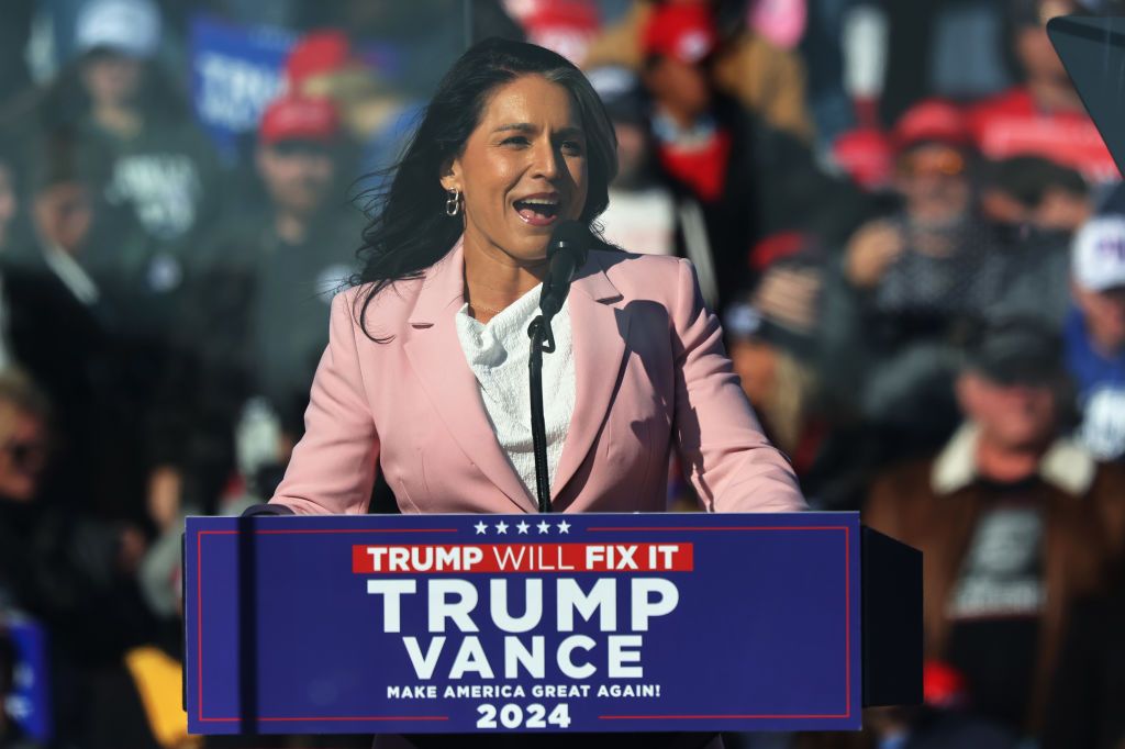 US Senate confirms Ukraine-skeptic Tulsi Gabbard as director of national intelligence