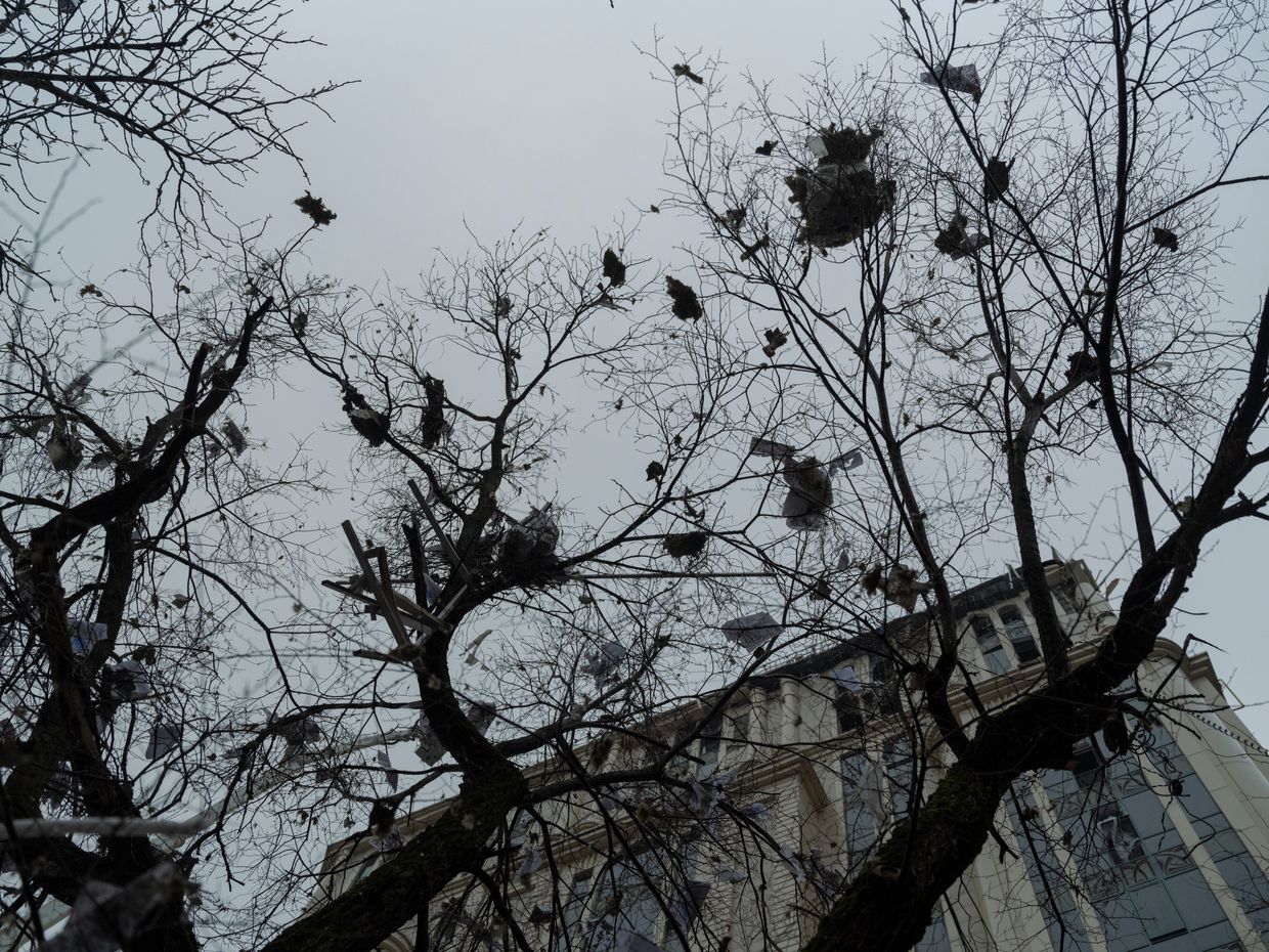 Papers and debris from an office building seen on the tree after Russian missile strike on Kyiv, Ukraine, on Dec. 20, 2024. 