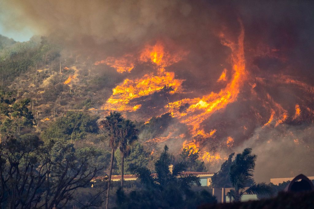 'Ukrainians can help Americans protect lives' — Zelensky says Kyiv ready to send firefighters to California