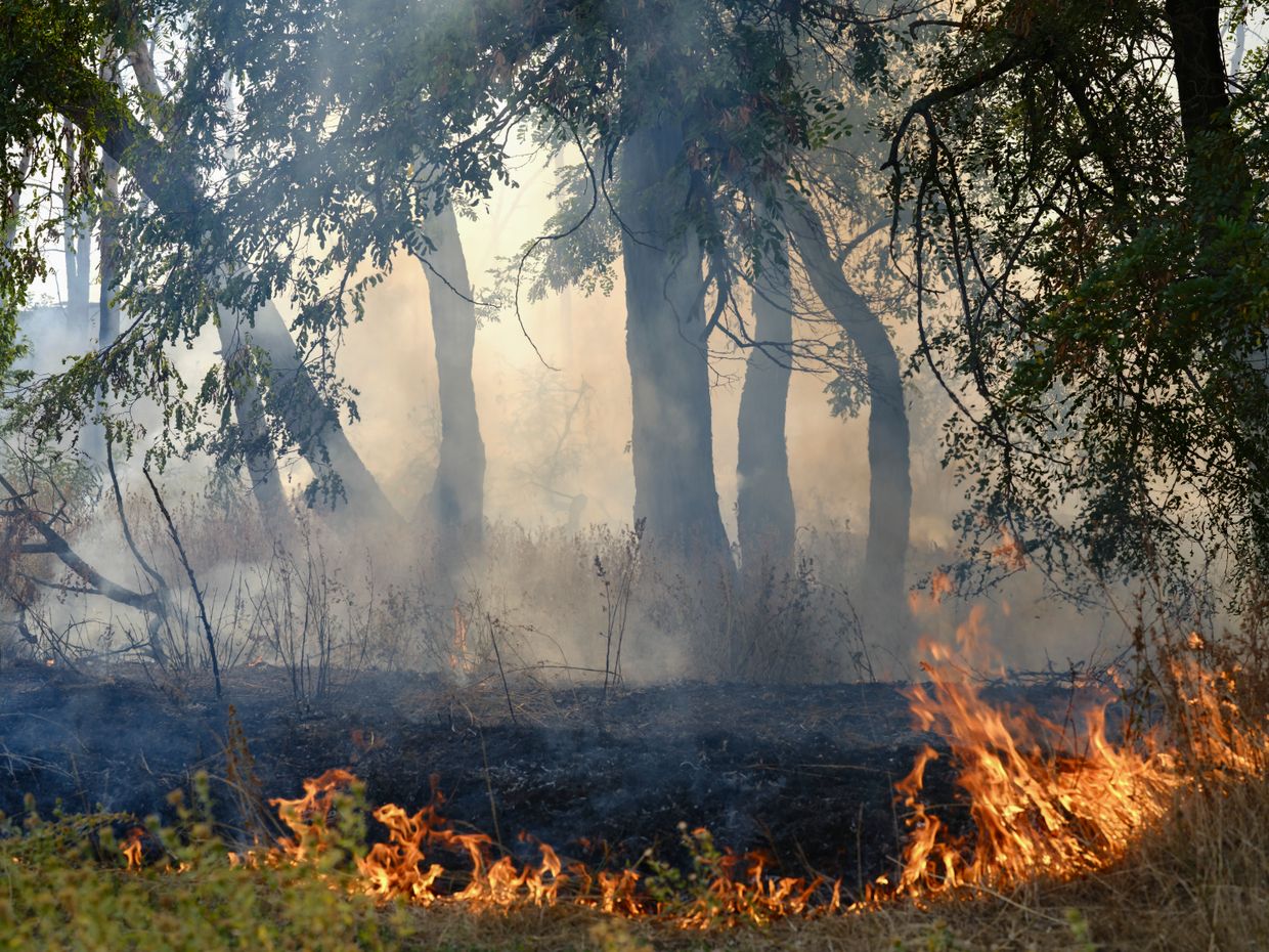  The site of a Russian KAB strike, Kharkiv Oblast, Ukraine, in Sept. 2024.