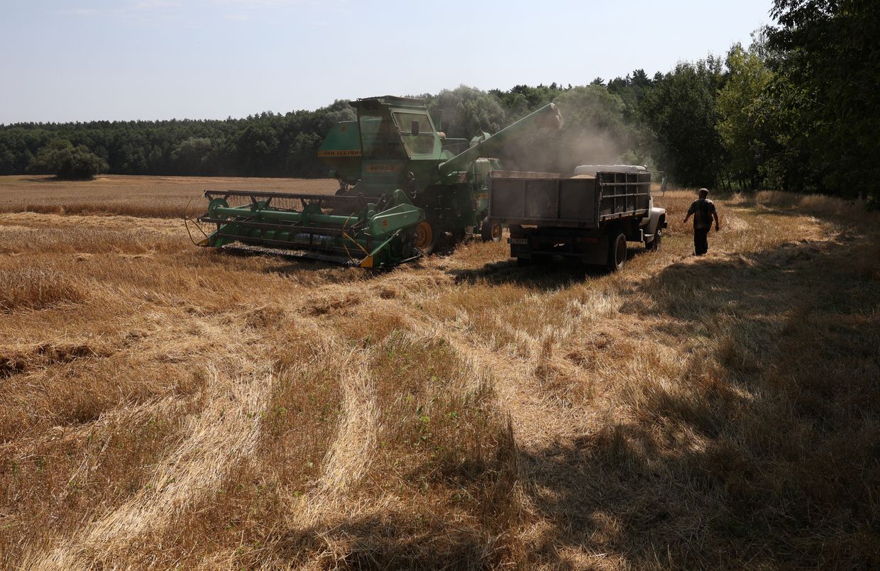 A combine loads grain into a truck during a wheat harvest in a field in Kyiv Oblast, Ukraine, on July 16, 2024.