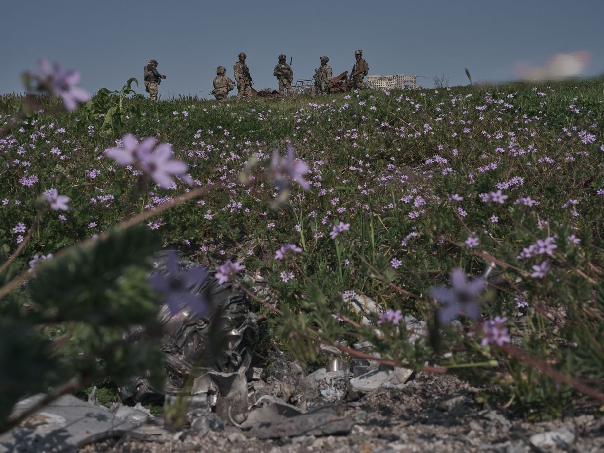 Debris among wildflowers on Zmiinyi (Snake) Island, Ukraine, in May 2025