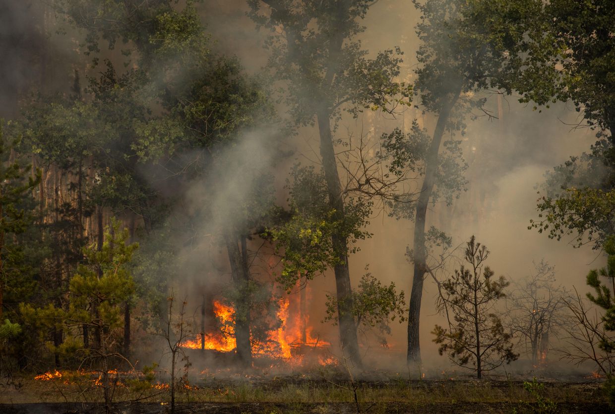 A forest burns after Russian shelling in Raihorodok, Donetsk Oblast, Ukraine, on July 19, 2024. 