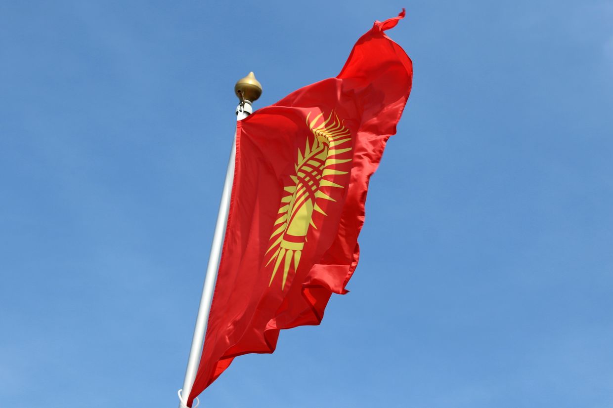 Kyrgyz citizen pleads guilty to illegally exporting US firearms to Russia