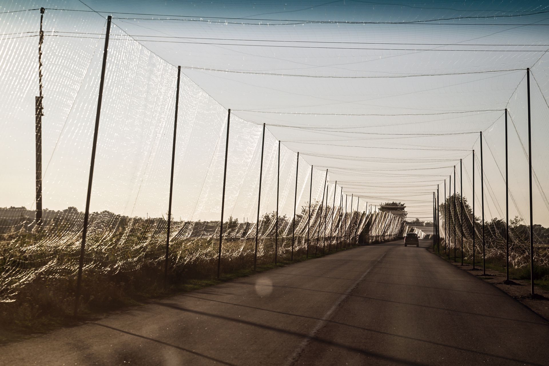 An anti-drone tunnel in Zaporizhzhia Oblast, Ukraine on Sept. 13, 2025.