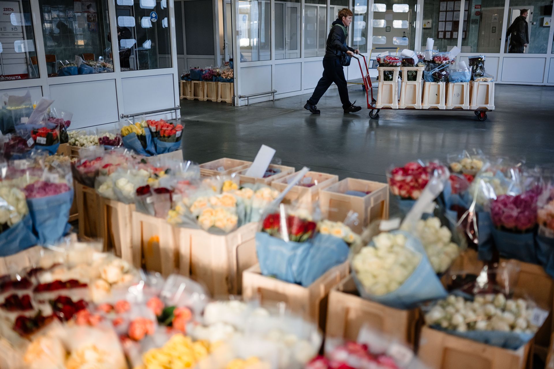 A man carries roses at the warehouse of Ascania-Flora, Ukraine's biggest producer of roses, near Kyiv, Ukraine, on Nov. 7, 2024.