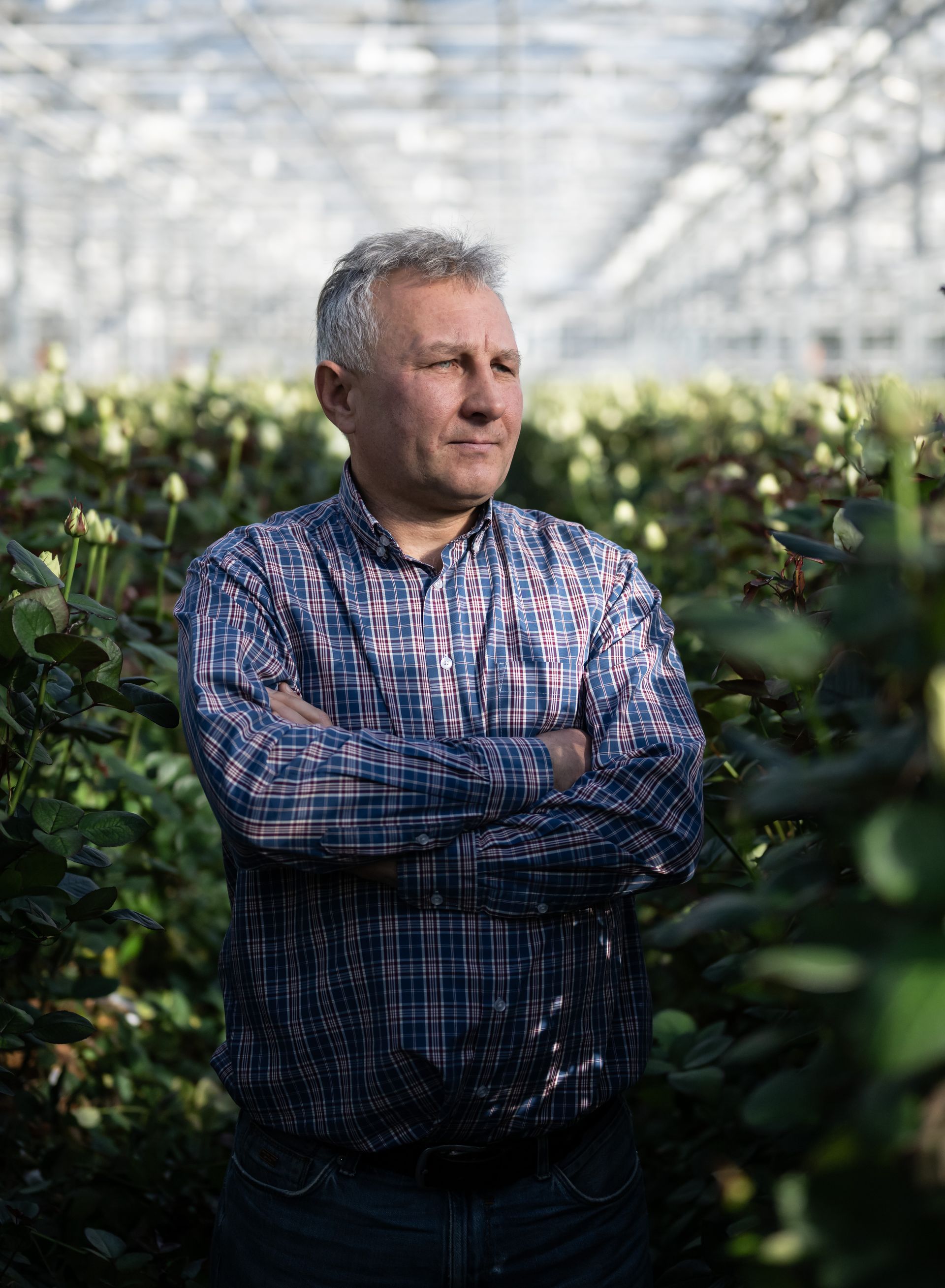 Ivan Syvak, deputy chief agronomist at Ascania-Flora, in one of its greenhouses near Kyiv, Ukraine, on Nov. 7, 2024.