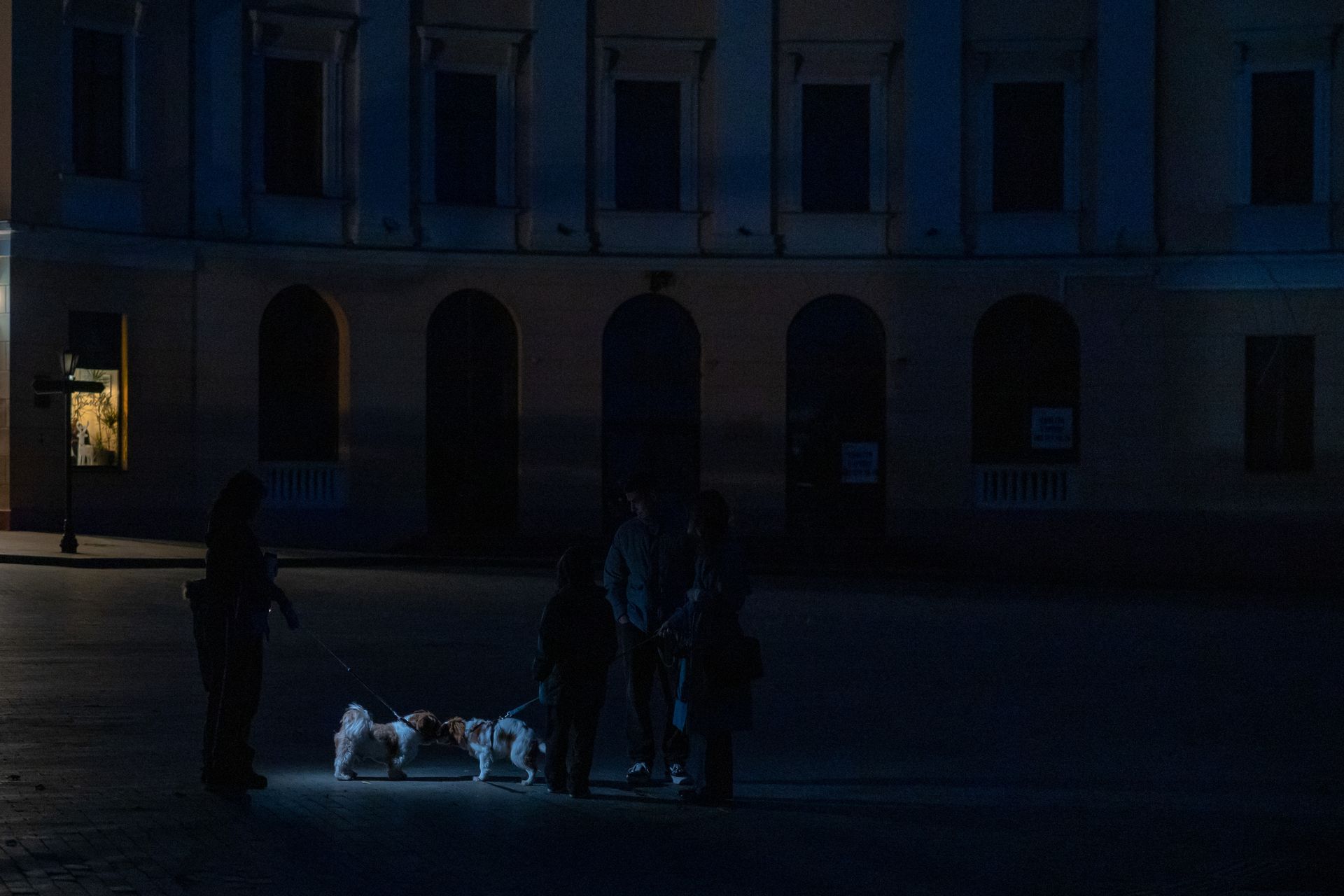 People walk their dogs during blackout hours in Odesa, Ukraine, on Nov. 25, 2025
