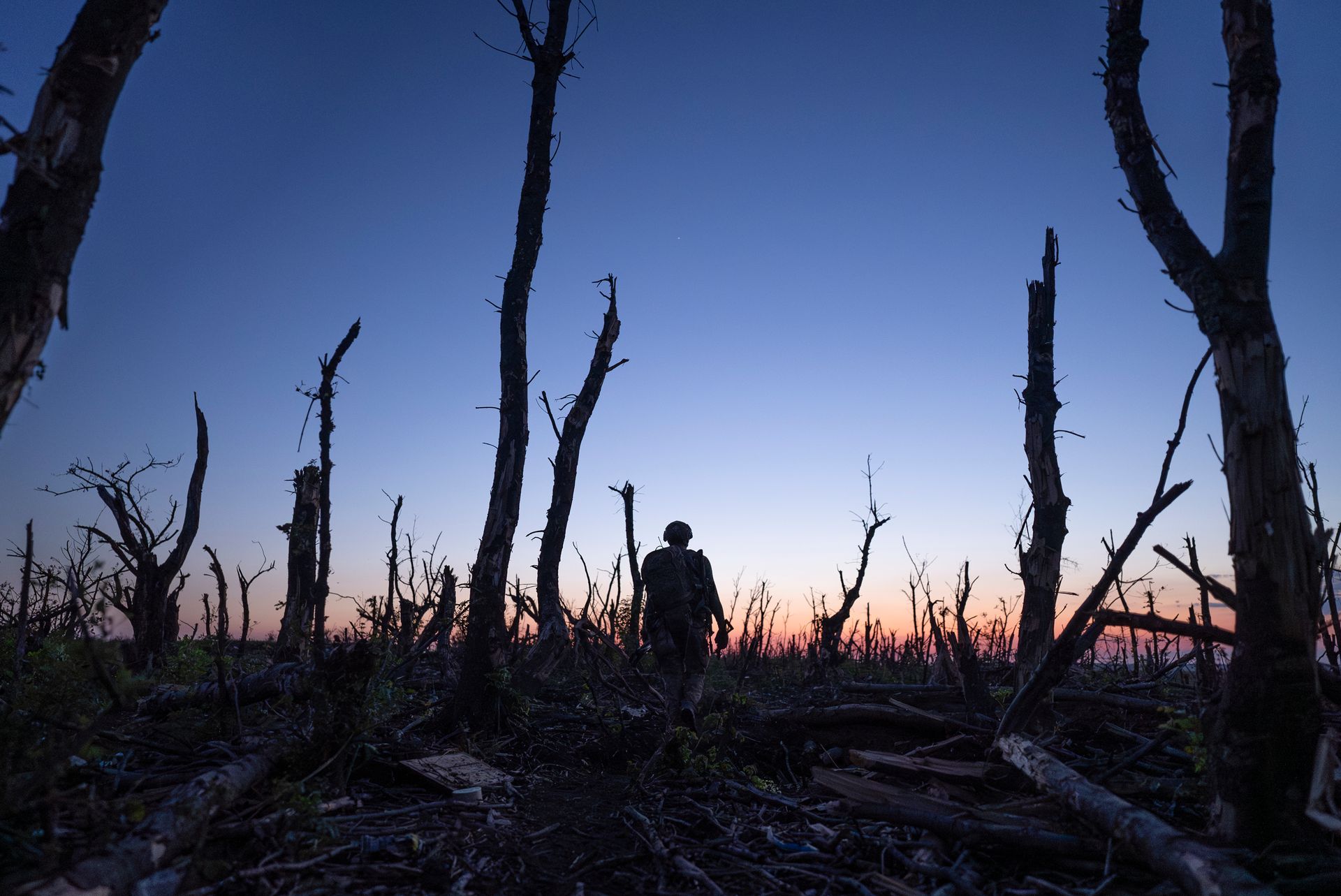 Ukrainian servicemen walk through a charred forest near the front line a few kilometers from Andriivka, Donetsk Oblast, Ukraine, on Sept. 16, 2023. 