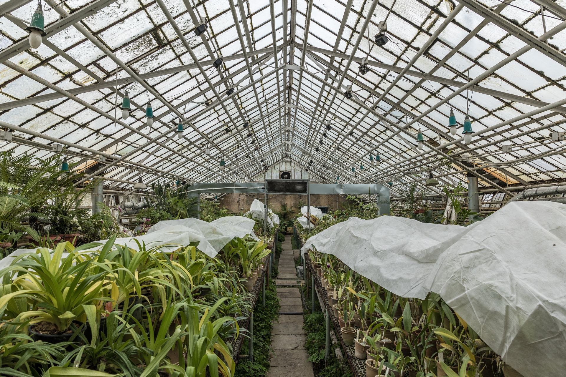 A view of a greenhouse housing collectible plants at the Kyiv National Botanical Garden in Kyiv, Ukraine, on Jan. 30, 2026. 