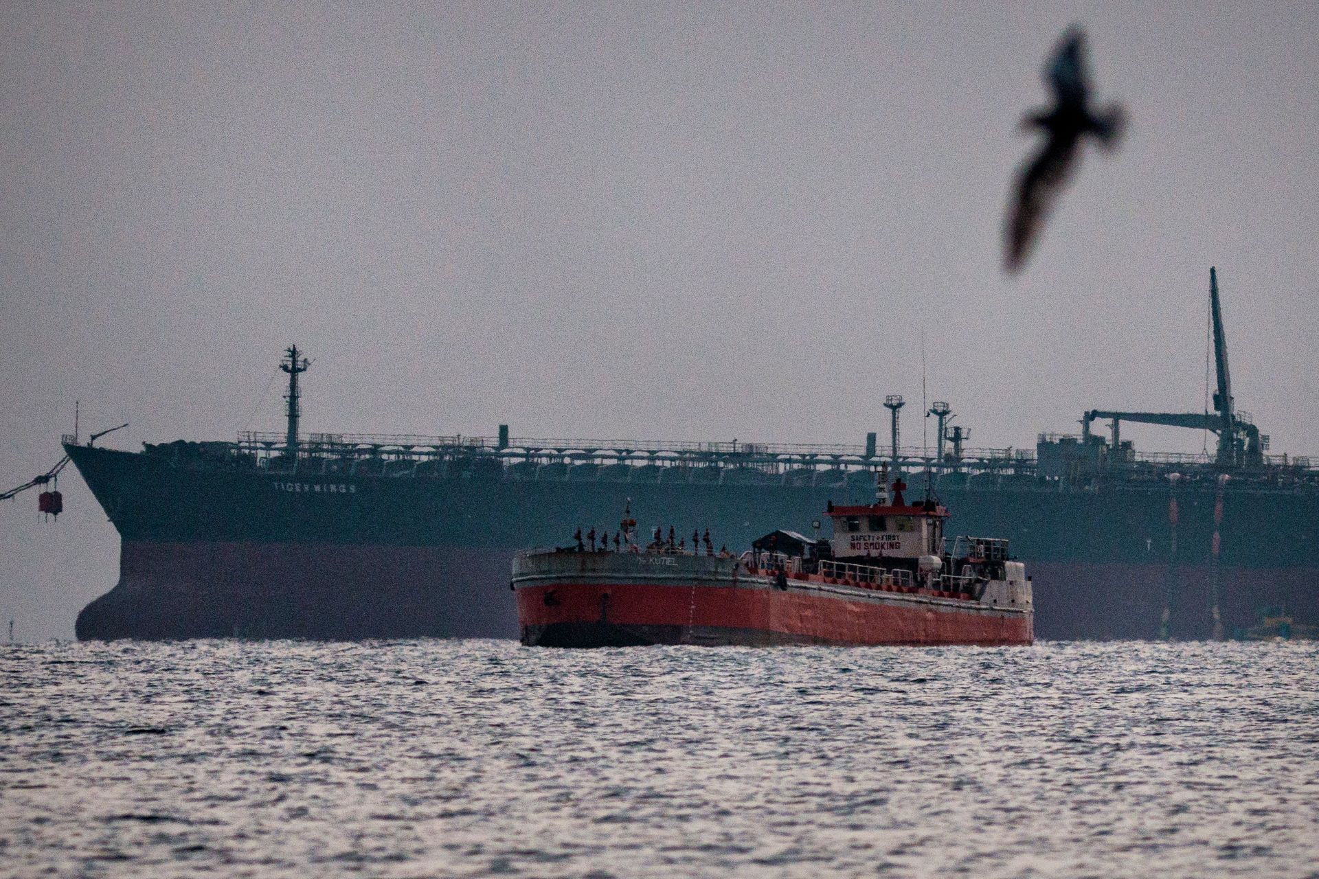 Moscow walks away with billions as Trump's Russian oil waiver expires