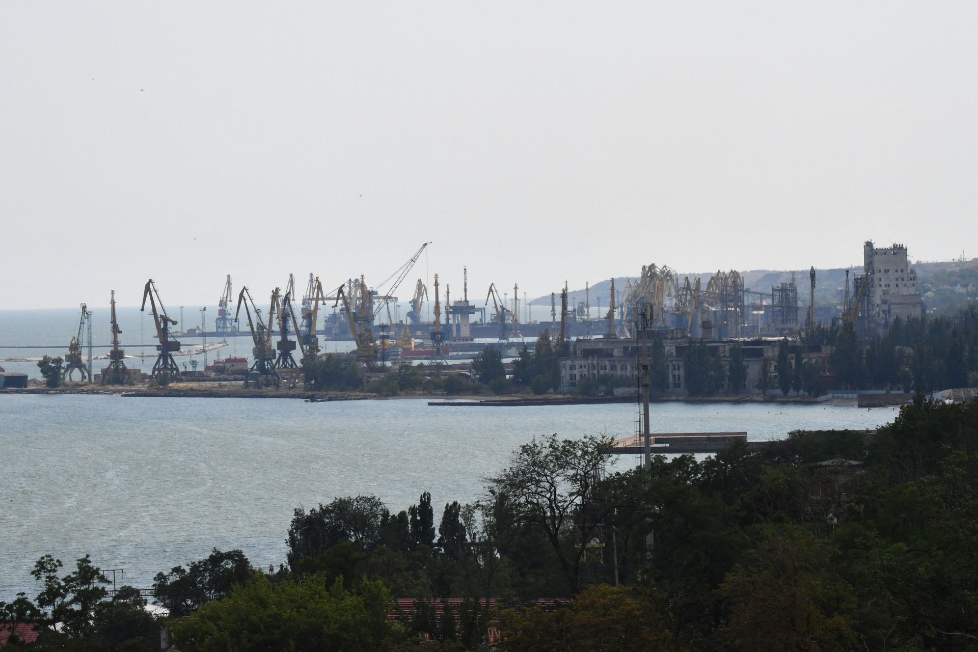 Russia has illegally shipped nearly 90,000 tons of wheat through occupied Mariupol port in 2026, Ukraine says
