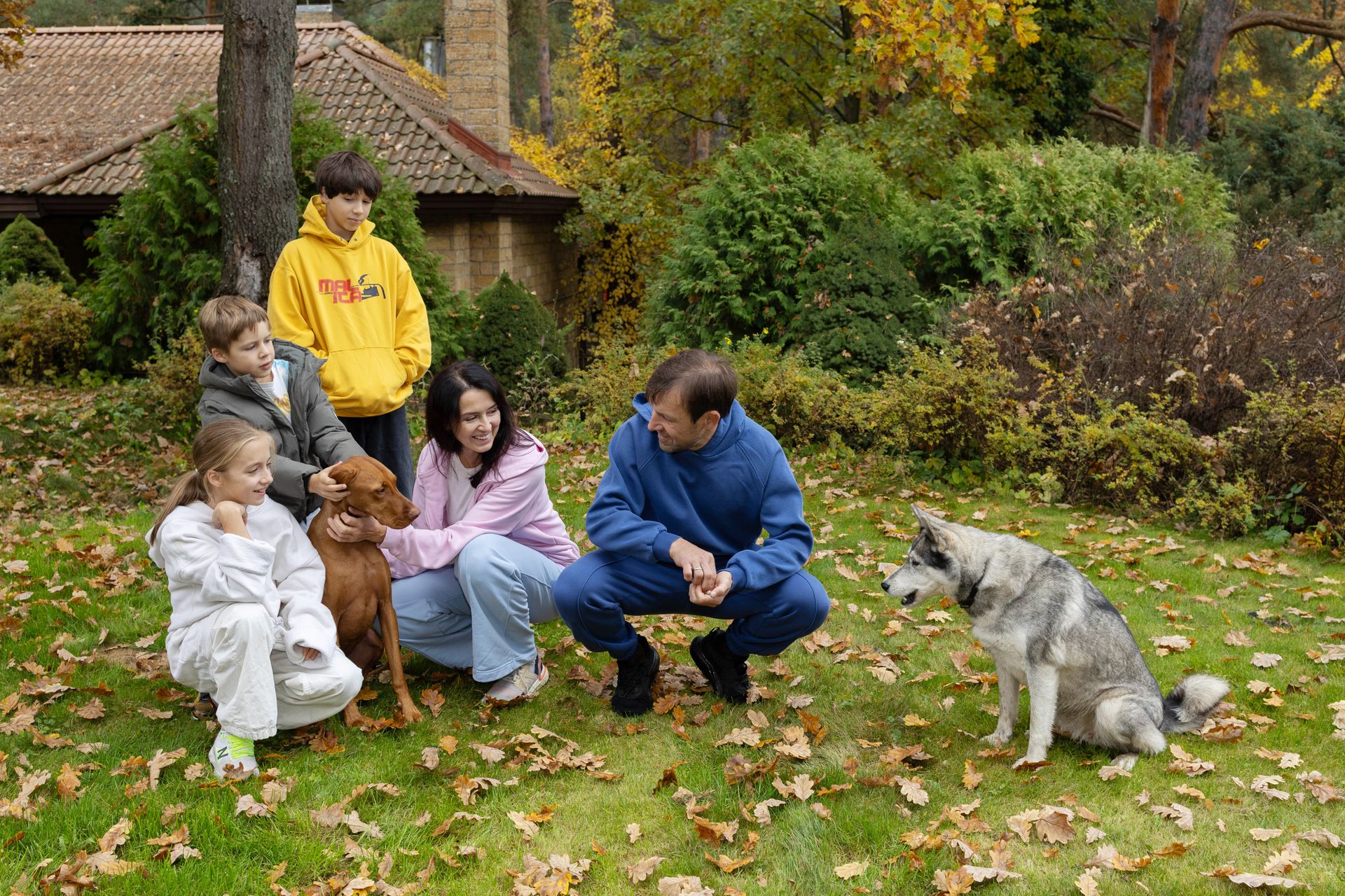Ukraine war rescues: Animals find new homes away from conflict