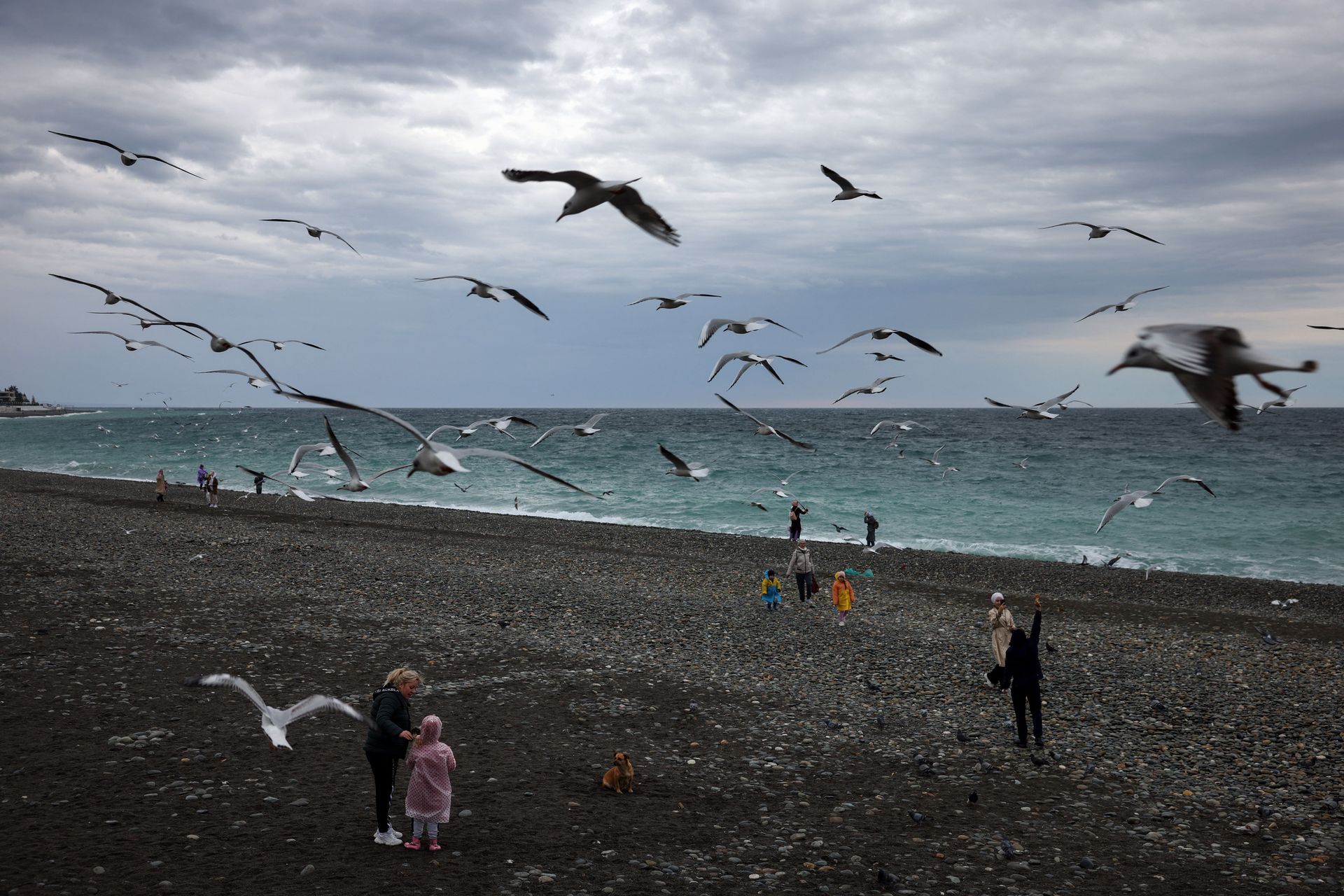 Ukrainian drones target 16 Russian regions amid elections, Moscow claims Meanwhile, the Black Sea resort of Sochi temporarily closed access to beaches and the waterfront over the threat of a Ukrainian sea drone attack, the citys Mayor Andrey Proshunin said on Sept. 19.