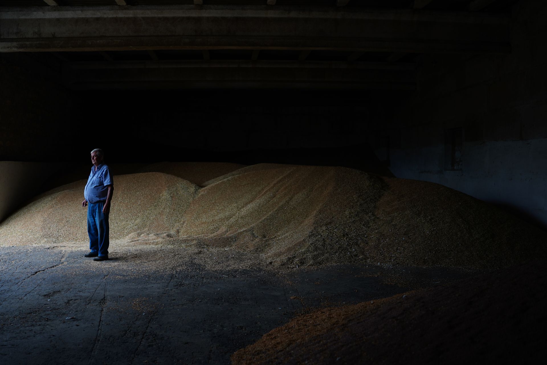 Odesa farmers report their best harvest since the full-scale invasion