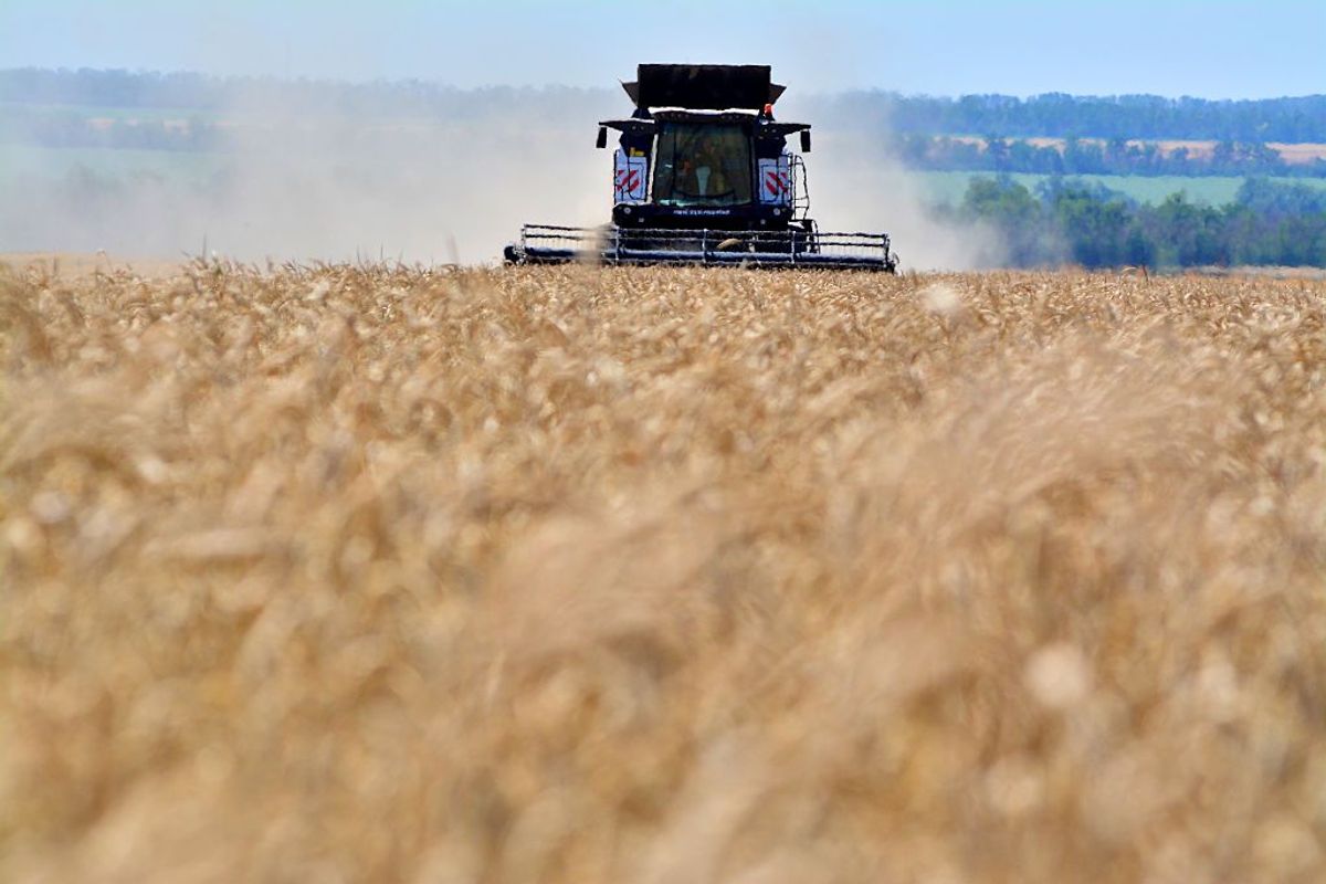 Russia restarts grain shipments through Sea of Azov, media reports