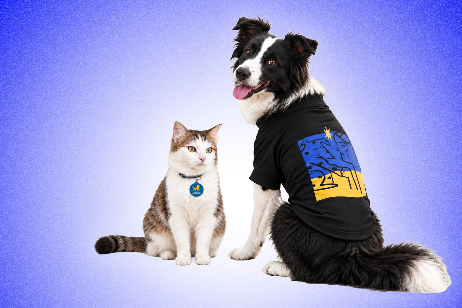 Kyiv Independent launches the Companion Collection 🐾 to support front-line animal rescue