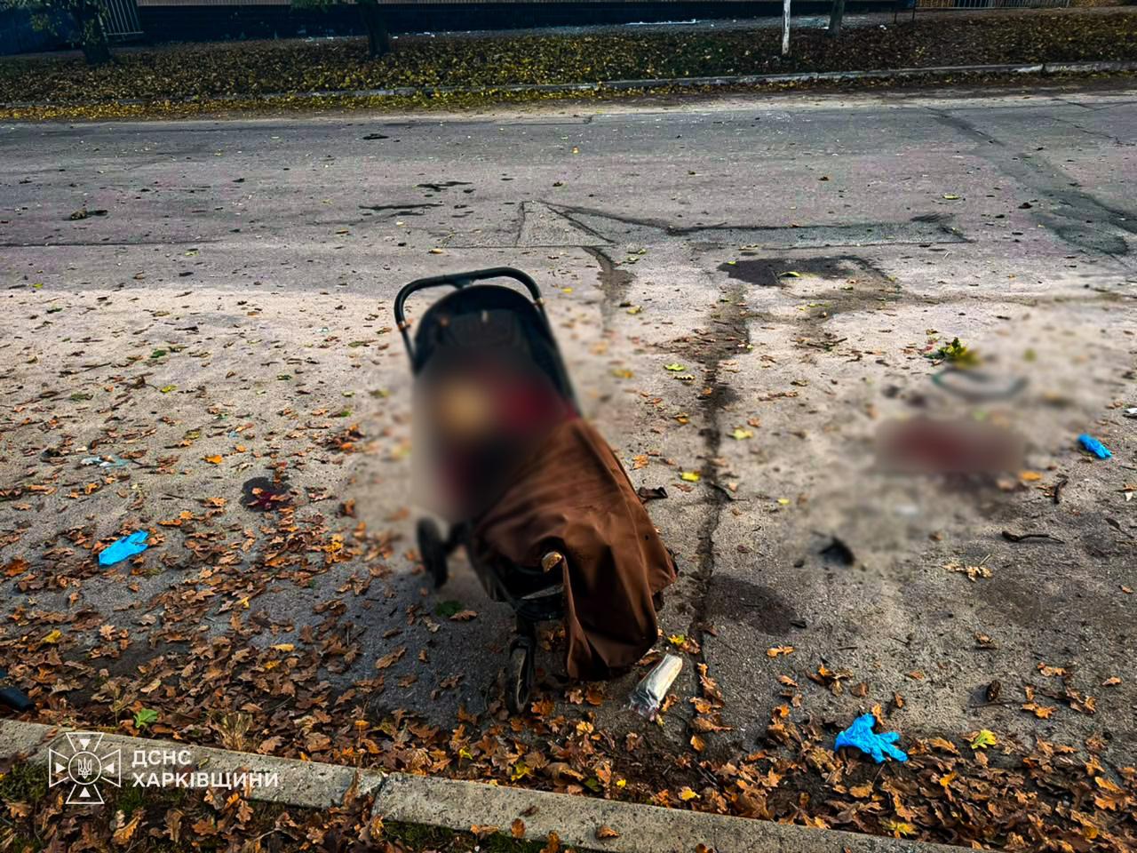 Russian drone strike on park in Kharkiv Oblast kills children and infant